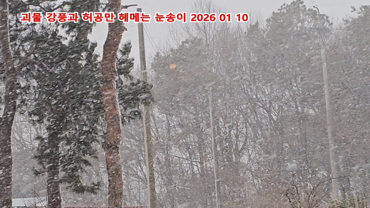괴물 강풍과 허공만 헤메는 눈송이 2026 01 10 UHD 4K