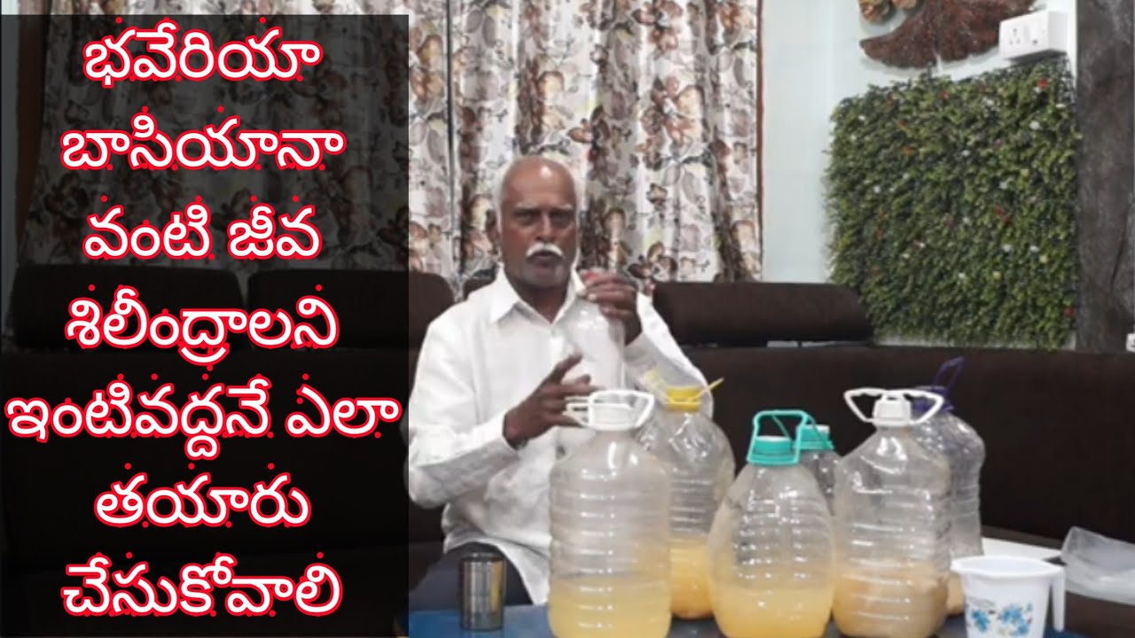 How to prepare six types of bio pesticides like baveriya basiyana at home by kokku ashok kumar