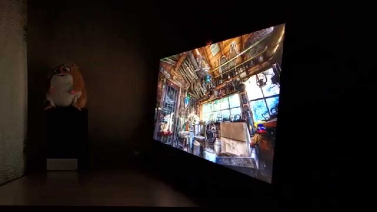LG 34UM65 - Screen Viewing Angles