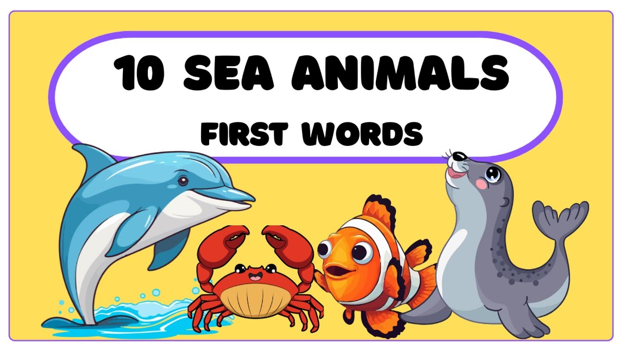 10 Sea Animals For Kids | Learn Animal Names | First Words for Kids