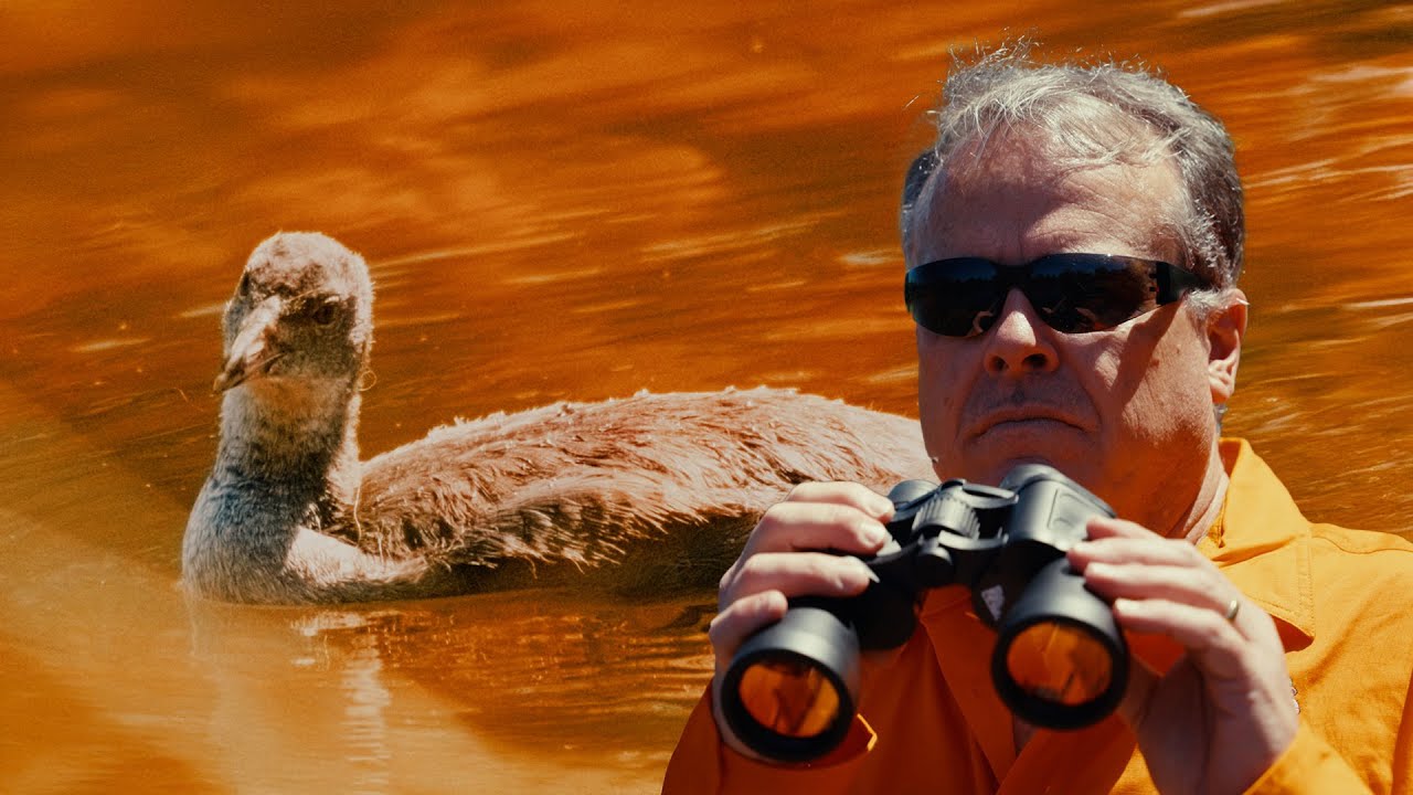 An Attenborough Doco in Subi | Once Upon a Time in Subi