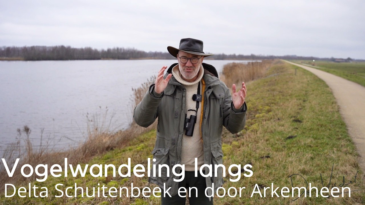 Vogels kijken in Delta Schuitenbeek en Arkemheen #1724