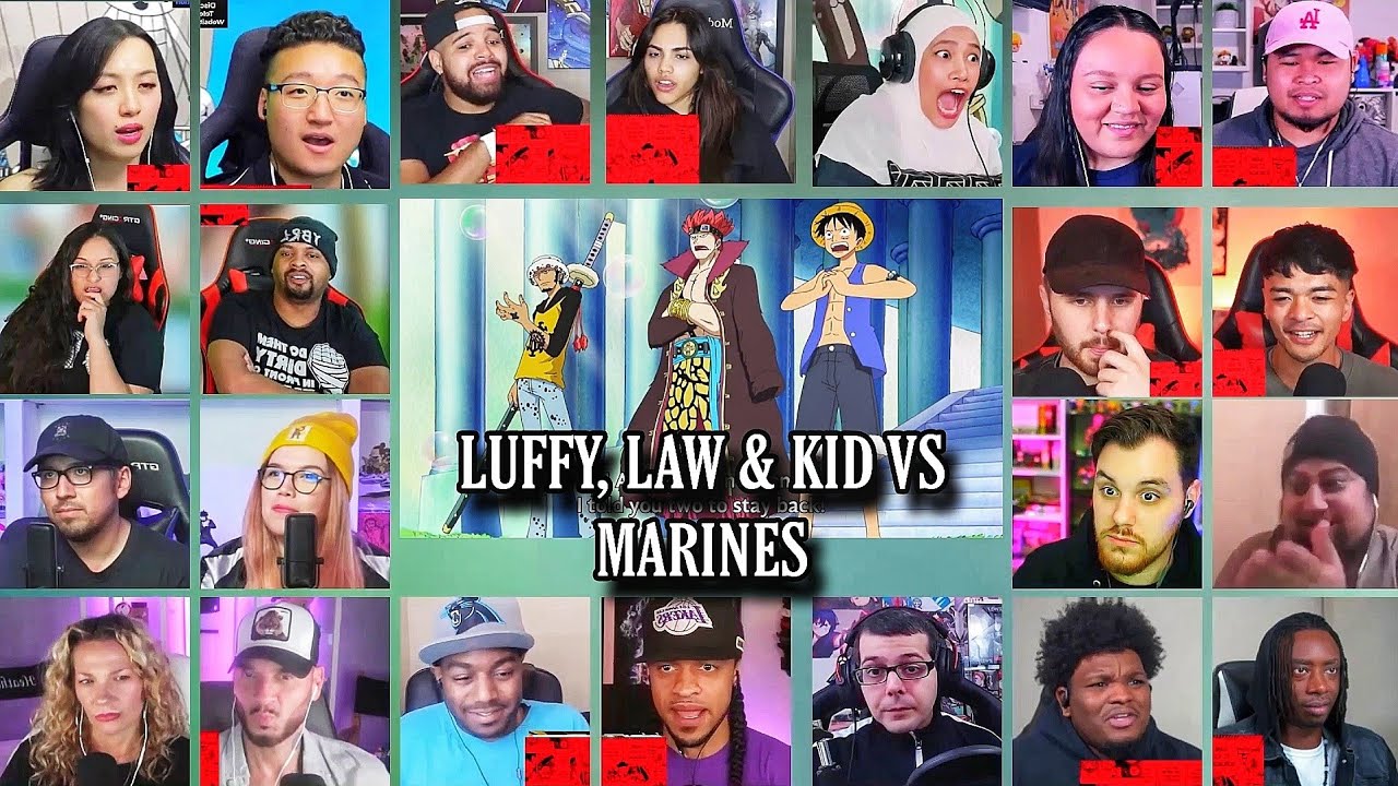 Luffy Law and Kid VS Marines Reaction Mashup | One Piece Episode 398