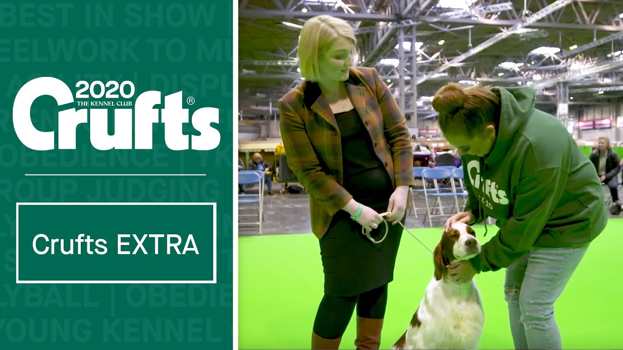 What makes a dog breed vulnerable? #CruftsEXTRA