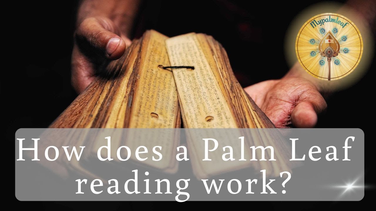 How does a Palm leaf reading work?