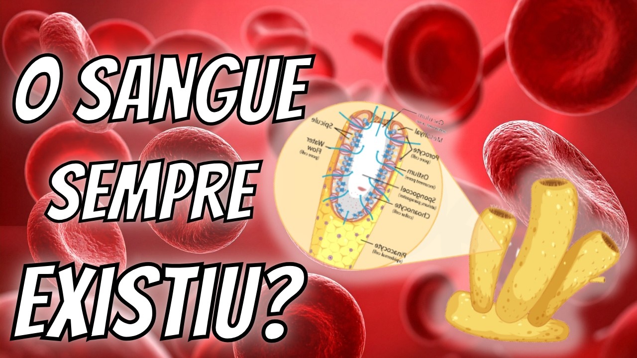 Evolução do Sangue: O Que Existia Antes Dele?