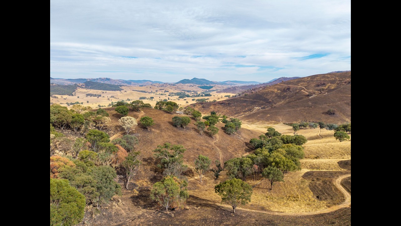 BlazeAid Bullioh camp - Bushfires