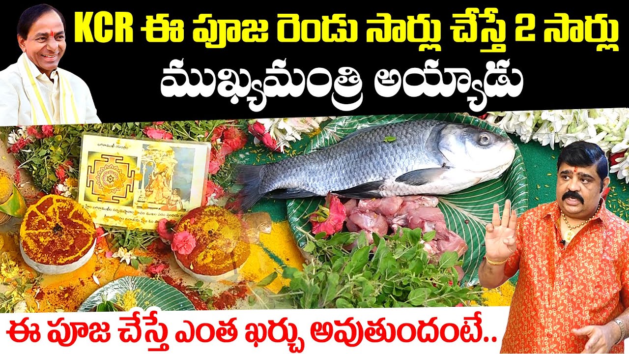 Astrologer Venu Swamy Reveals Sensational Facts About CM KCR Pooja | Pooja Cost Details | News Buzz