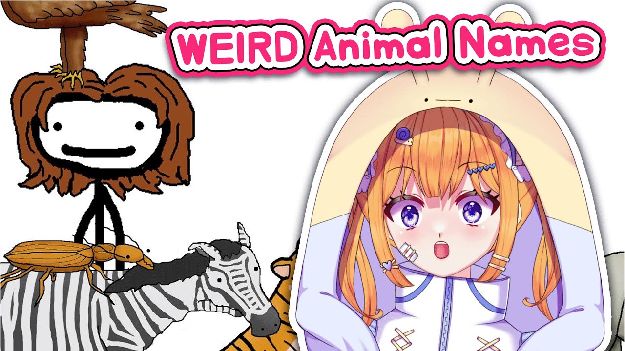 SUSSY Animal Names!! | Snail Vtuber reacts to Sam O'Nella Academy