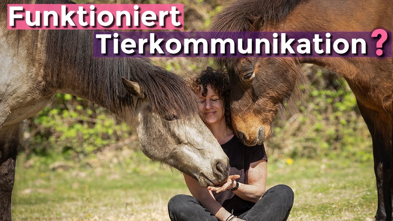 Tierkommunikation lernen - 3 Erkenntnisse verändern alles