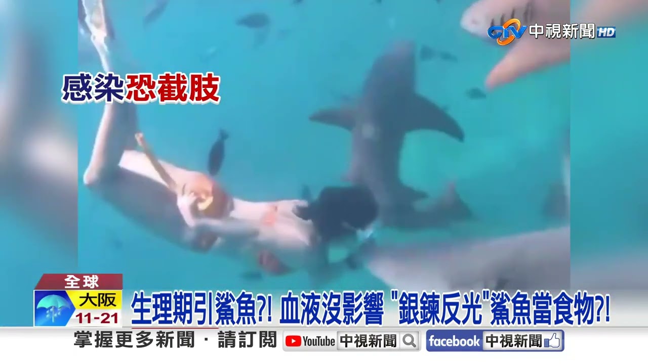 出國潛水.領隊喊