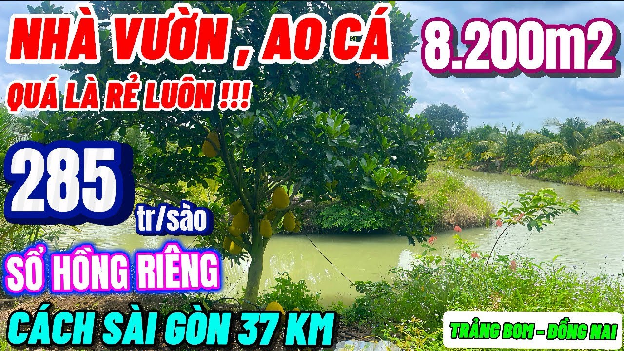 Nhà đất đồng nai,chỉ 285tr sào nhà vườn,ao cá chuồng hơn 8 sào cách đường nhựa 300m quá rẻ luôn !