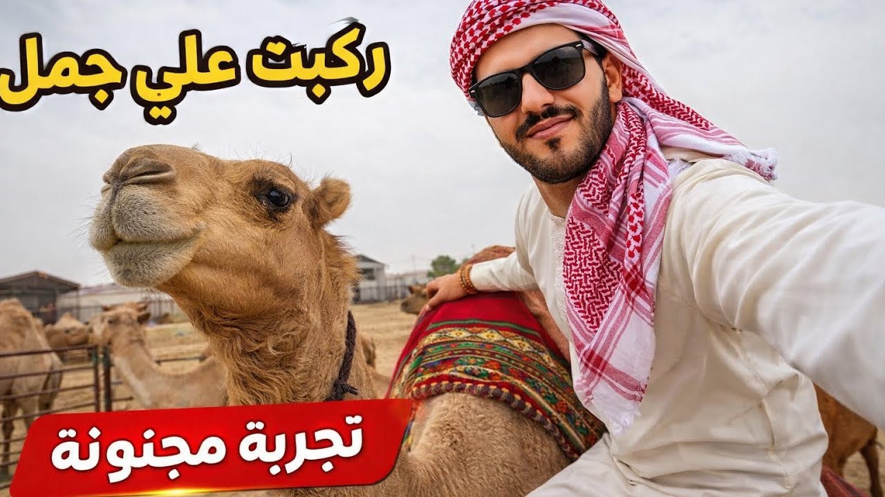 نهار كامل في الجاخور في الكويت 🇰🇼 🐪🐪مع الجمال 