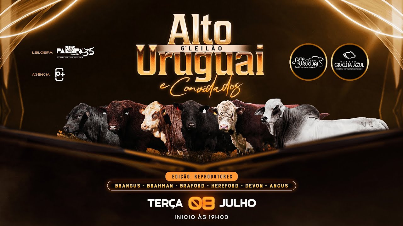 6° Leilão Alto Uruguai e Convidados, Edição: Reprodutores, CONCÓRDIA/SC - 08/07/2025 19:00h