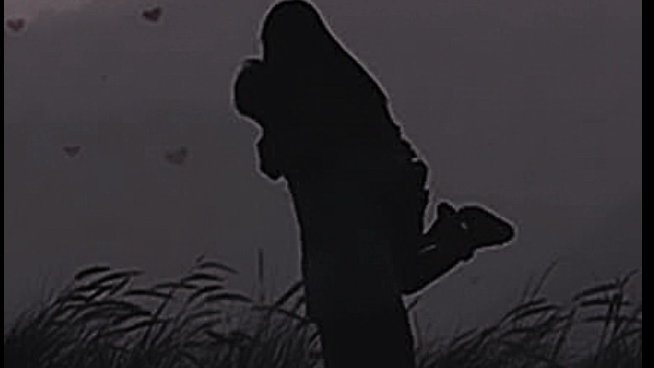 तिमिलाई देखें पहिलो पल 💐