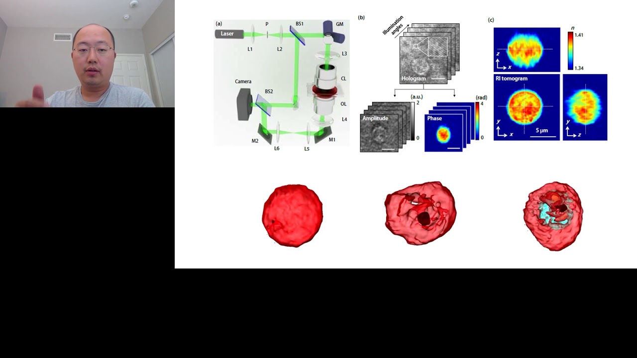 Методы голотомографии для 3D-визуализации живых клеток и тканей без использования меток