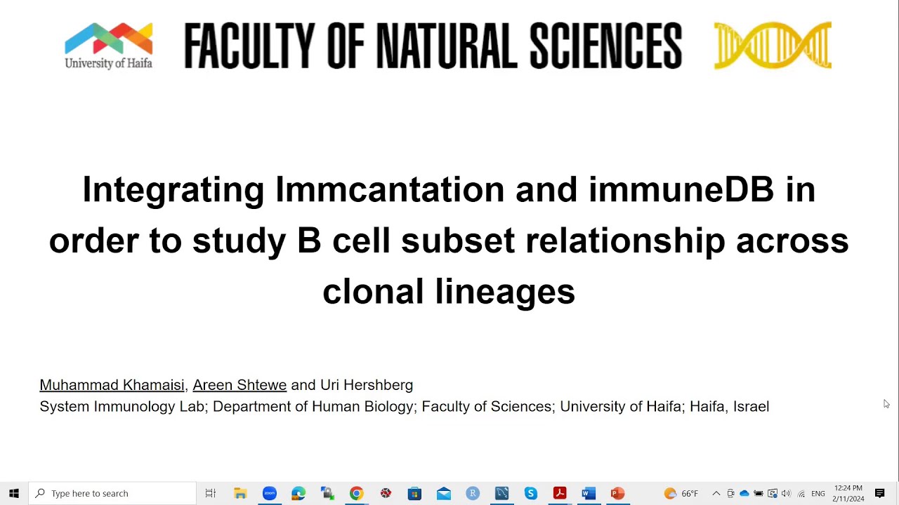Integrating Immcantation and immuneDB in to study B cell subset relationship across clonal lineages