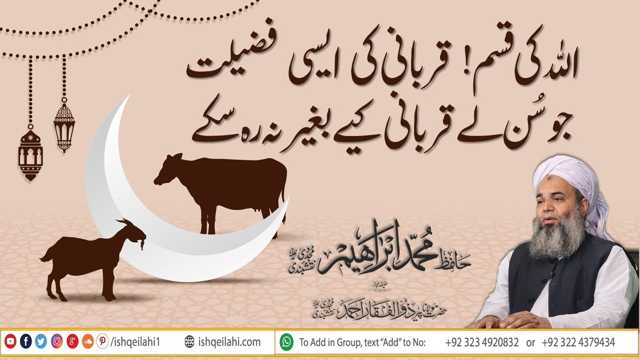Qurbani Karne Ki Fazilat Aur Ahmiyat | Most Important Clip | Hafiz Ibrahim Naqshbandi