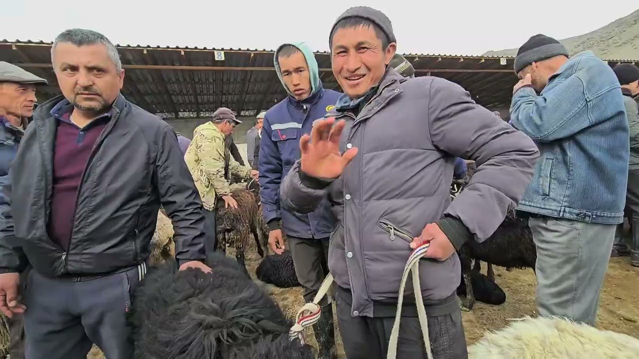 АЛА-БУКА СОЛОМО МАЛ БАЗАРЫ
