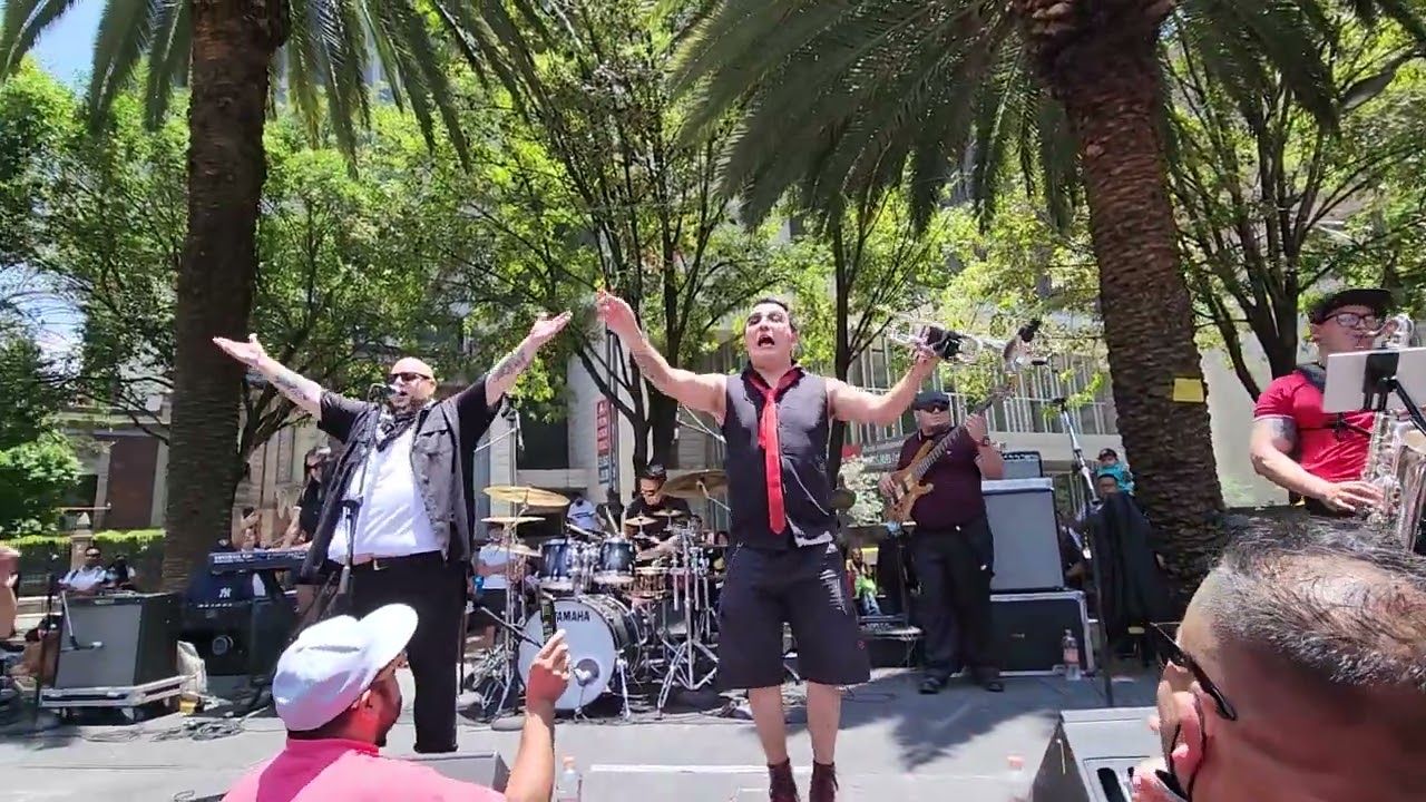Mi Vida Sin tu Amor - Panico Latino en la Glorieta del Ahuehuete 17/07/22