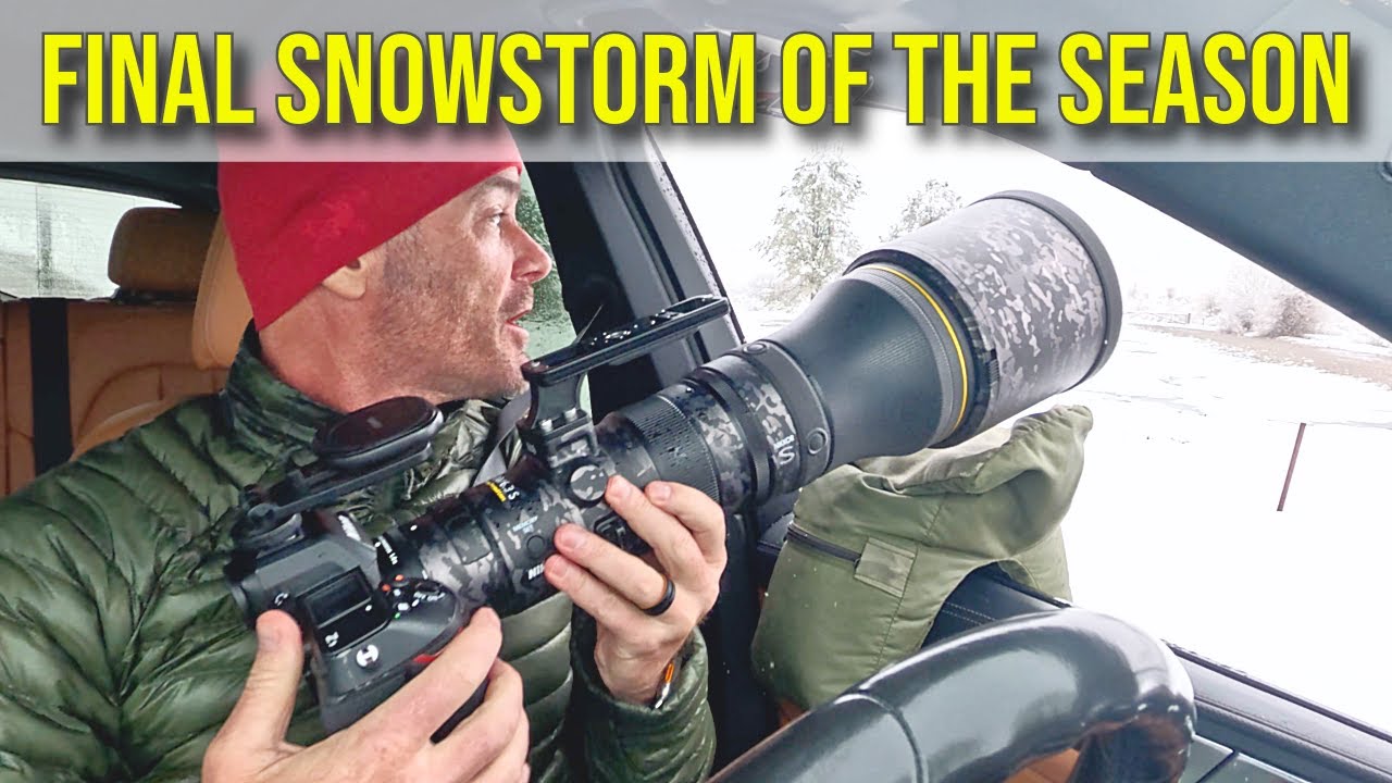Photographing the Final Snowstorm of the Season - A Wildlife Photography Vlog in Grand Teton N.P.