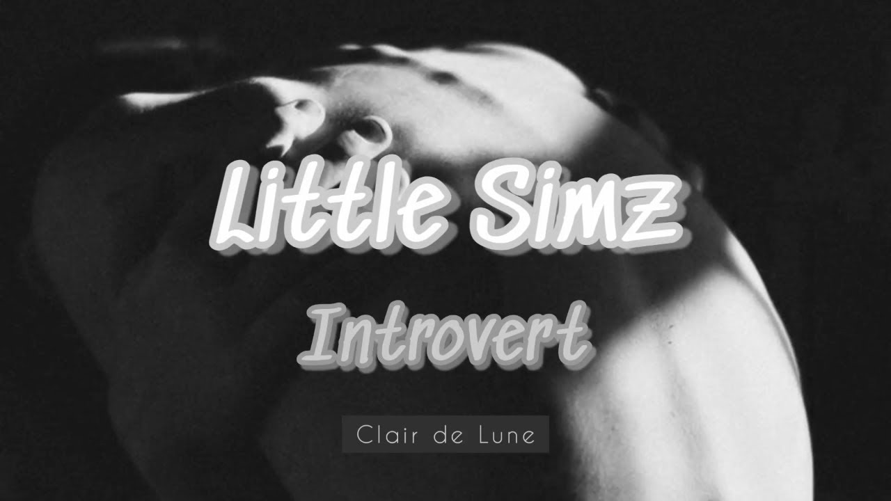 Little Simz - Introvert Lyrics
