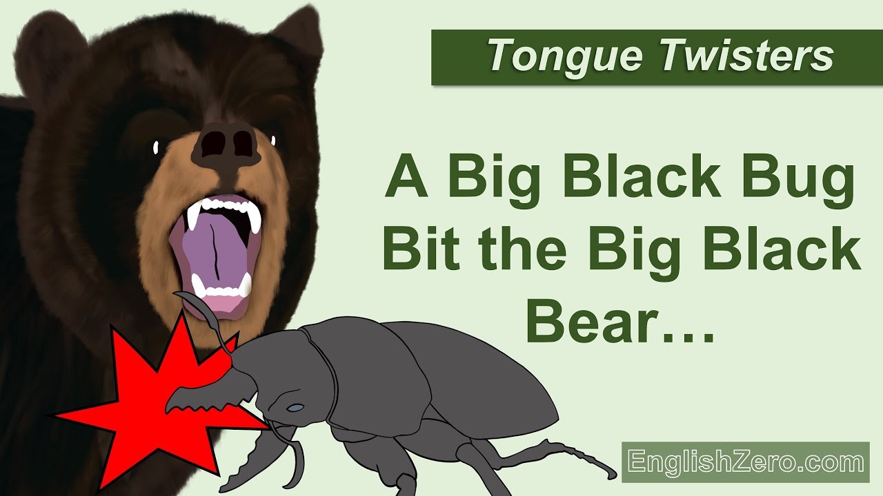 Tongue Twister 10 - A Big Black Bug Bit The Big Black Bear But the Big Black Bear Bit The Bug Back