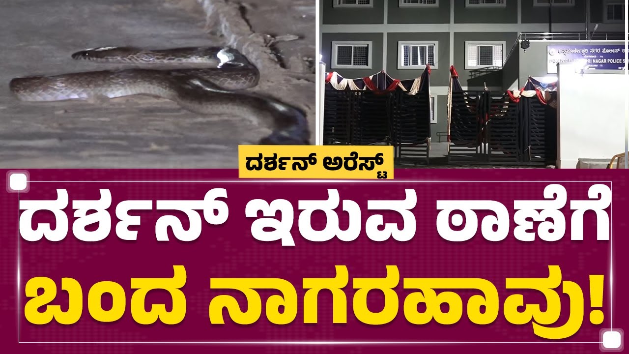 Darshan​ ಇರುವ ಠಾಣೆಗೆ ಬಂದ ನಾಗರಹಾವು! | Annapoorneshwari Nagar Police Station | @newsfirstkannada