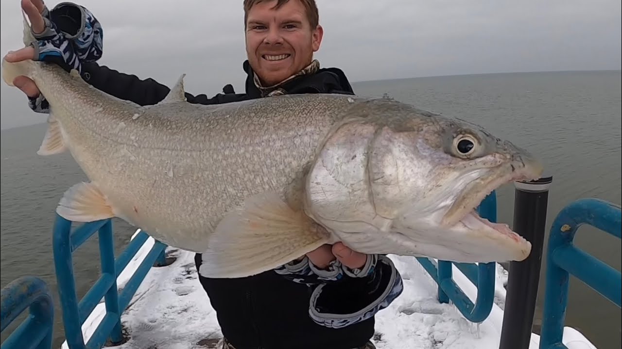 How To Pier Fish For Salmon, Steelhead, And Lake Trout Casting From Shore!