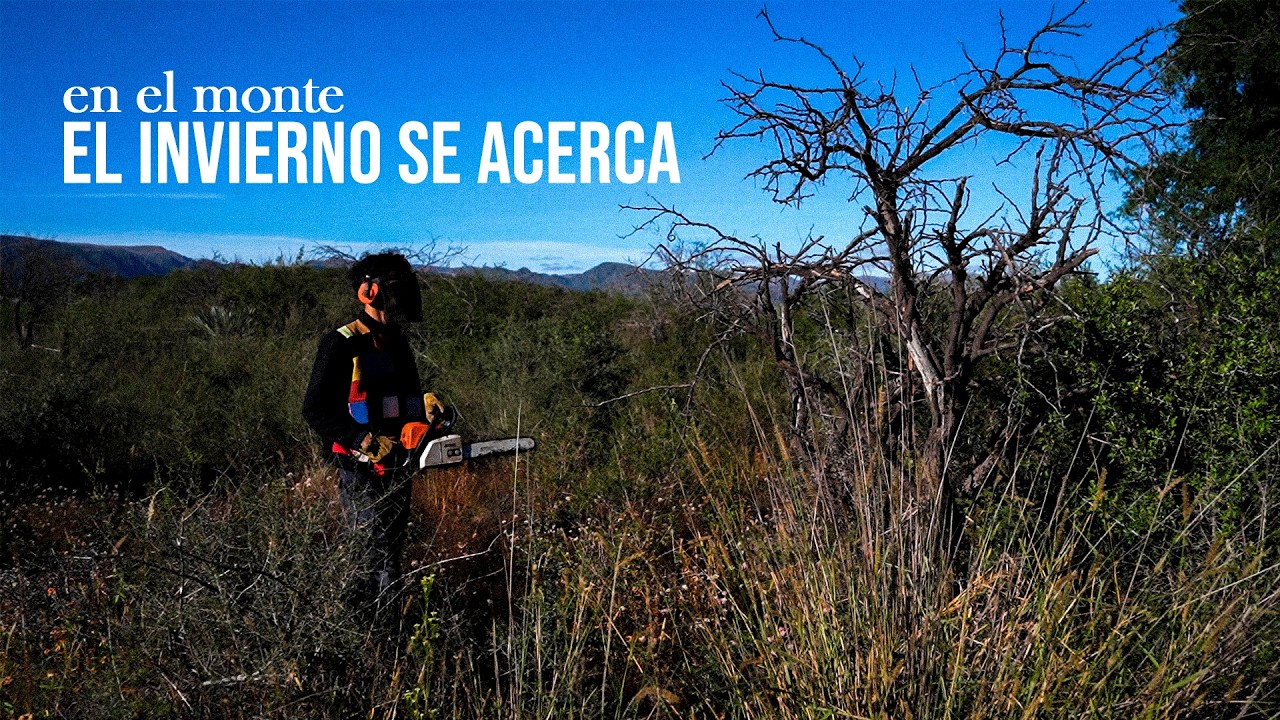 VIVIMOS en el medio del MONTE | cosechamos menta, seguimos juntando leña y bailamos una CHACARERA