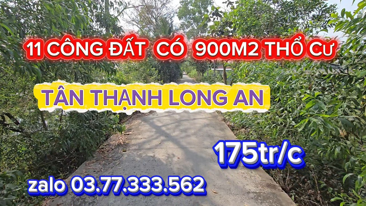 Cần tiền gấp  bán  11 công đất. Có  900m2 thổ cư tại tân thạnh long an  175tr/c