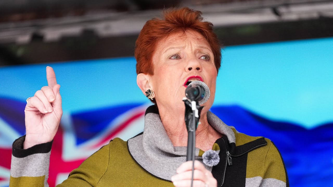 &lsquo;Common sense policies&rsquo;: Pauline Hanson explains One Nation&rsquo;s rise in support