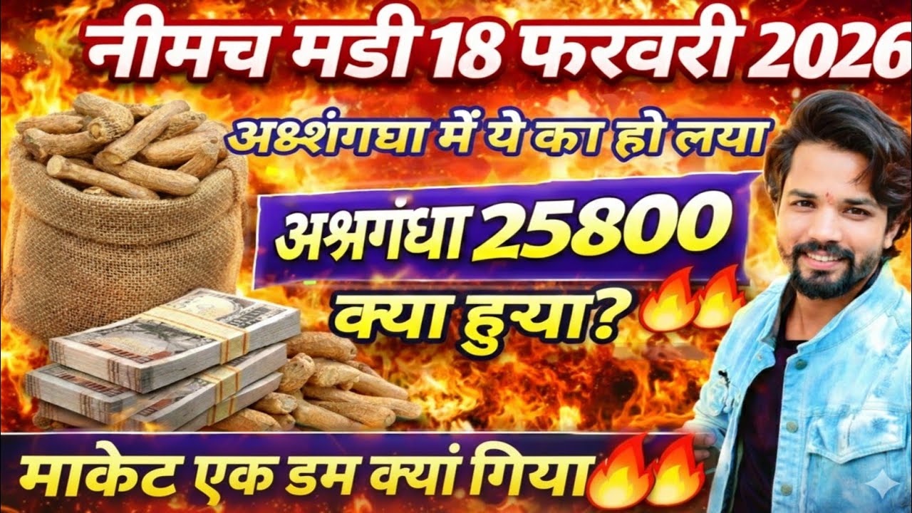नीमच मंडी भाव। आज का नयी अश्वगंधा जड़ का भाव। Ashwagandha ka bhav neemuch mandi bhav today 