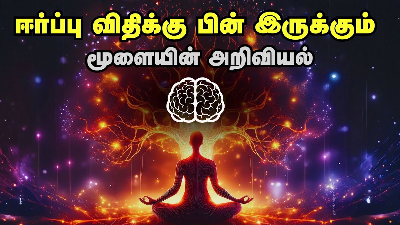 ஈர்ப்பு விதிக்கு பின் இருக்கும்  மூளையின் அறிவியல் | Science Behind Manifestation