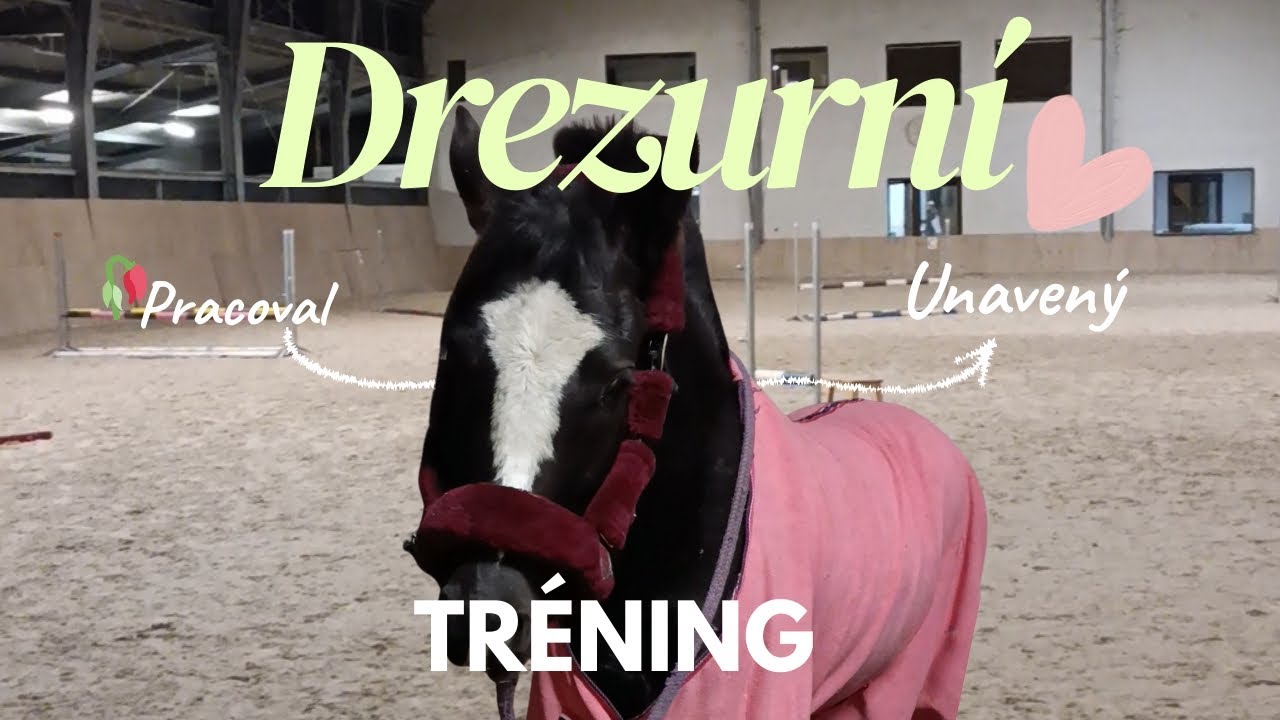 Drezurní trénink 🥕🫶🏻🐎(minivlog) 