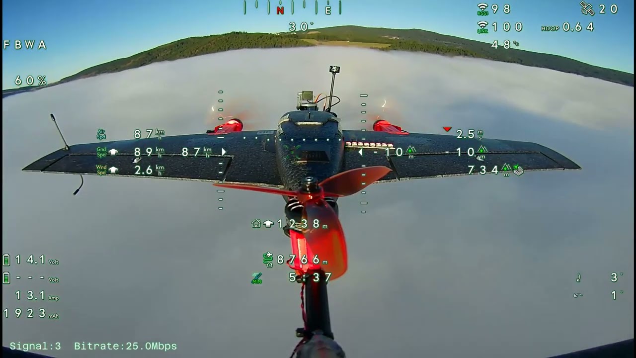 HEEWING T1 VTOL Nebelfliegen und Test RTL mit automatisch landen Heckkamera mit OSD 21 12 2025