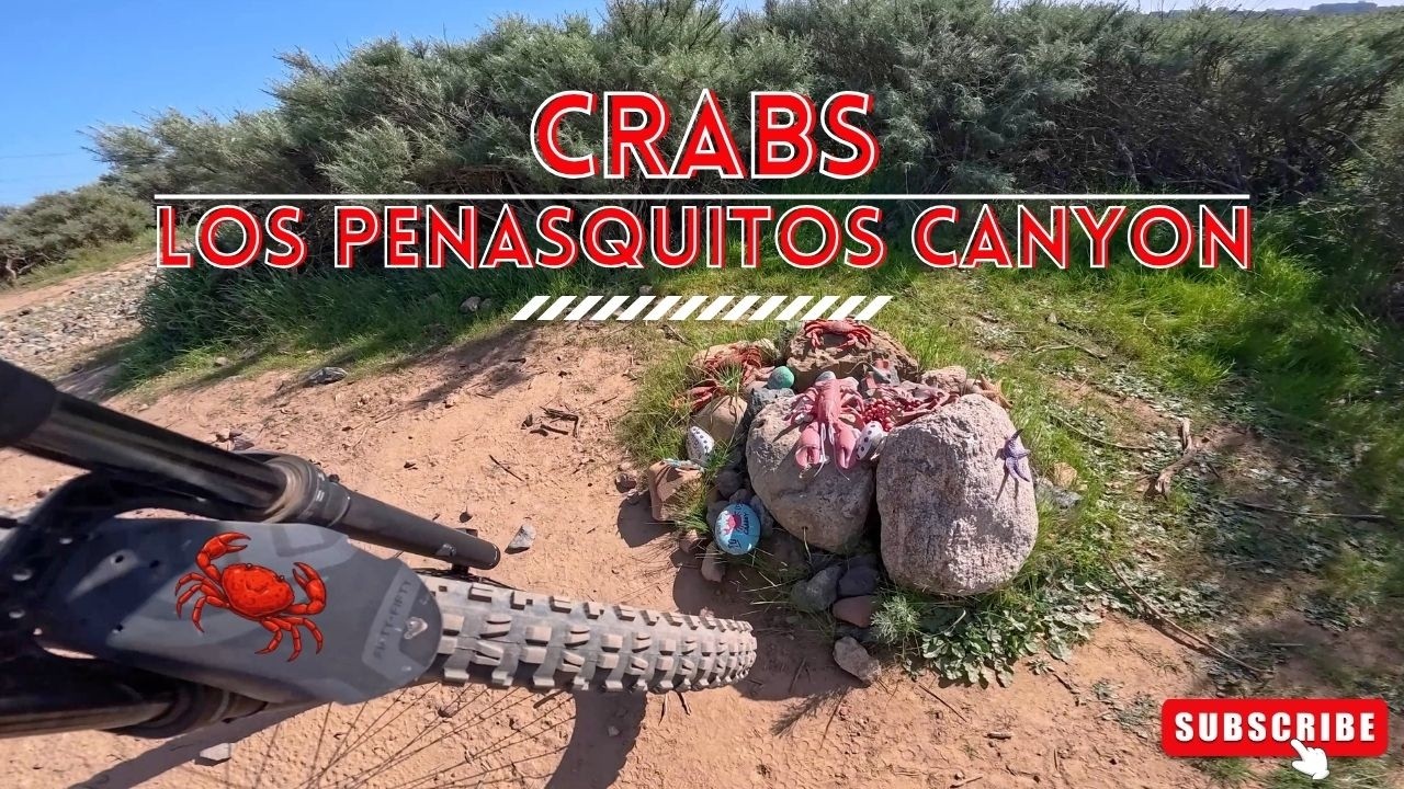 San Diego MTB - Crabs- Los Penasquitos Canyon - January 2026