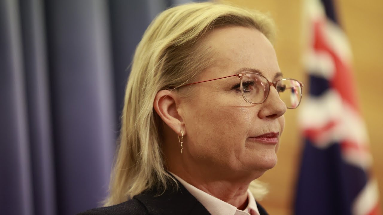 Sussan Ley has ‘almost no political identity’
