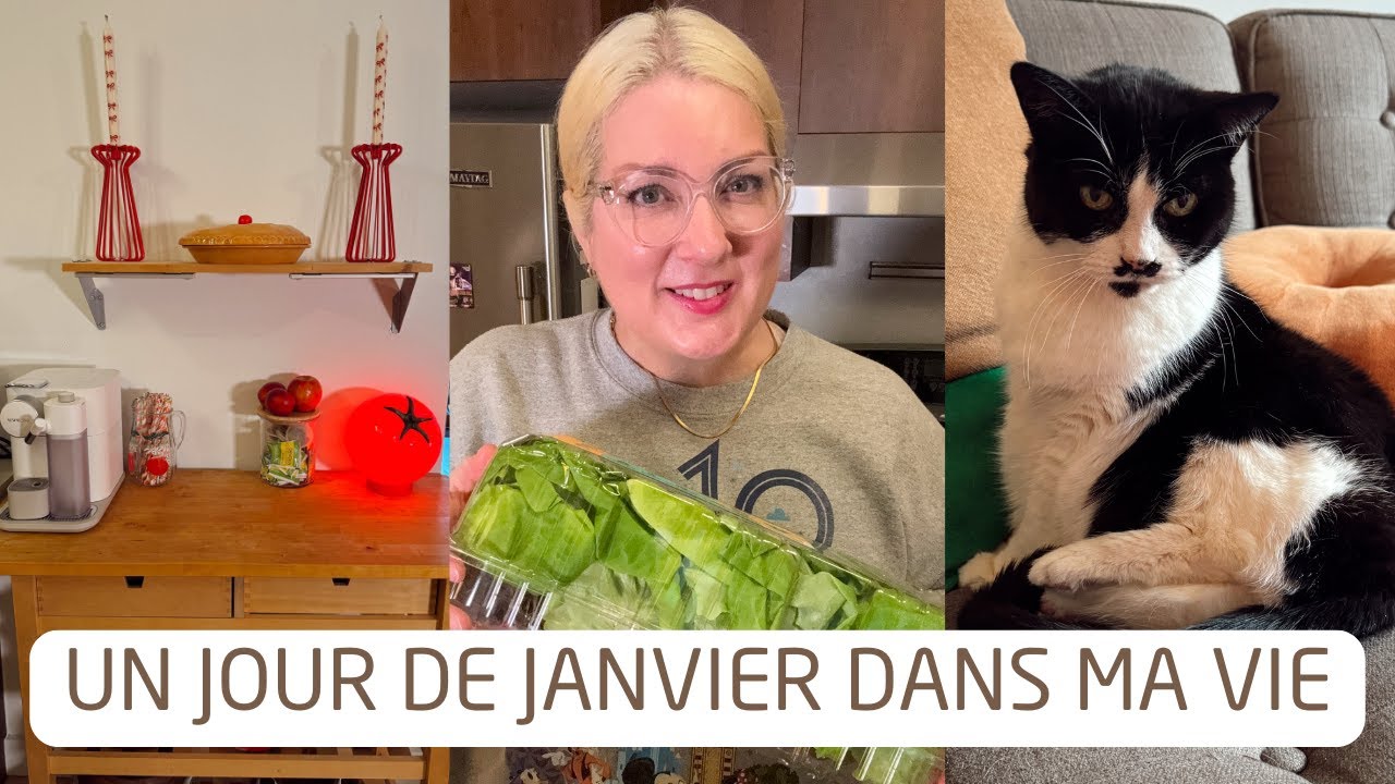 HEATED RIVALRY, COURSES COSTCO ET RESET DÉCO D'APRÈS FÊTES - Un jour de janvier dans ma vie - vlog