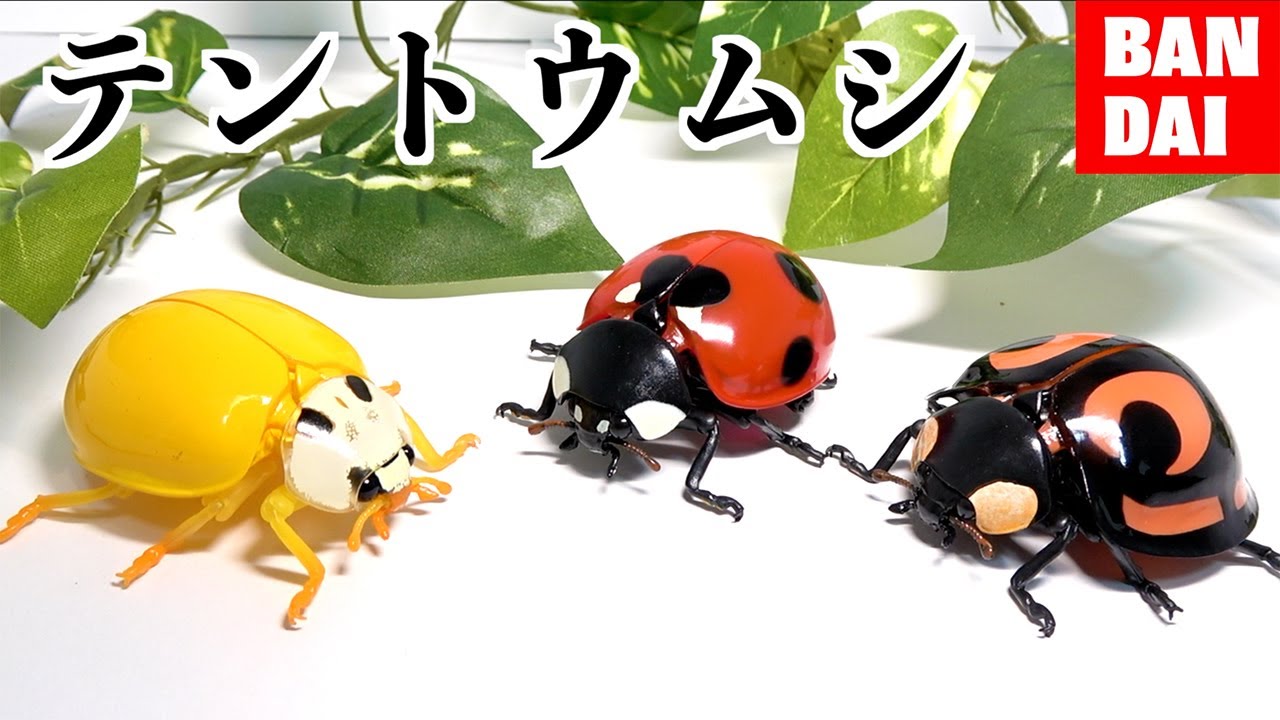 【最新】¥1000ガチャのテントウムシがヤバすぎる件[BANDAI/いきもの大図鑑テントウムシ]