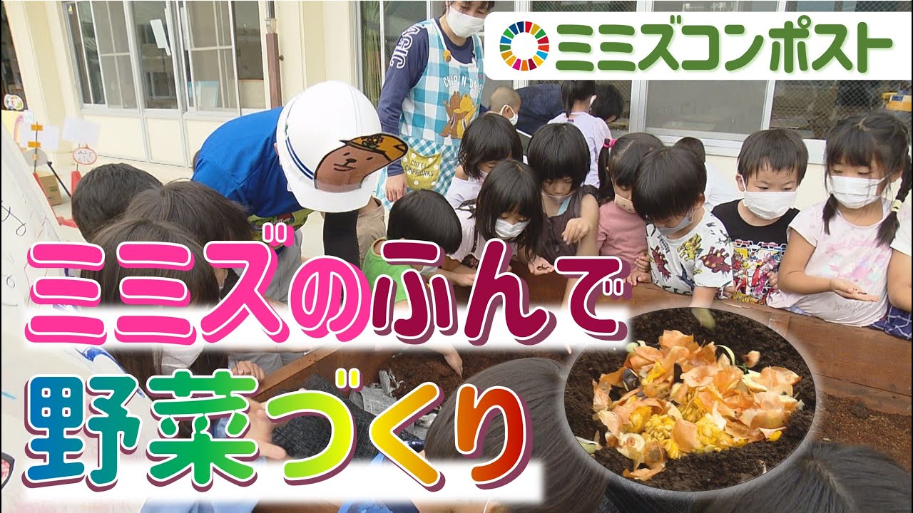 【ミミズコンポスト】ミミズパワーで野菜を作ろう！｜地球派宣言