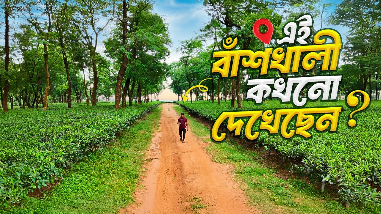 বাংলাদেশের একমাত্র জায়গা যেখানে আছে চা বাগান + সমুদ্র সৈকত 🇧🇩 | Hidden Banshkhali Travel Video