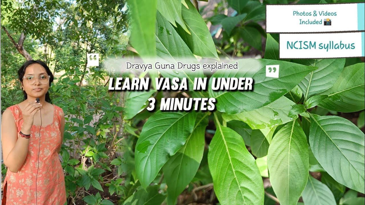 Learn Vasa in under 3 minutes| Dravya Guna drugs explained| NCISM syllabus