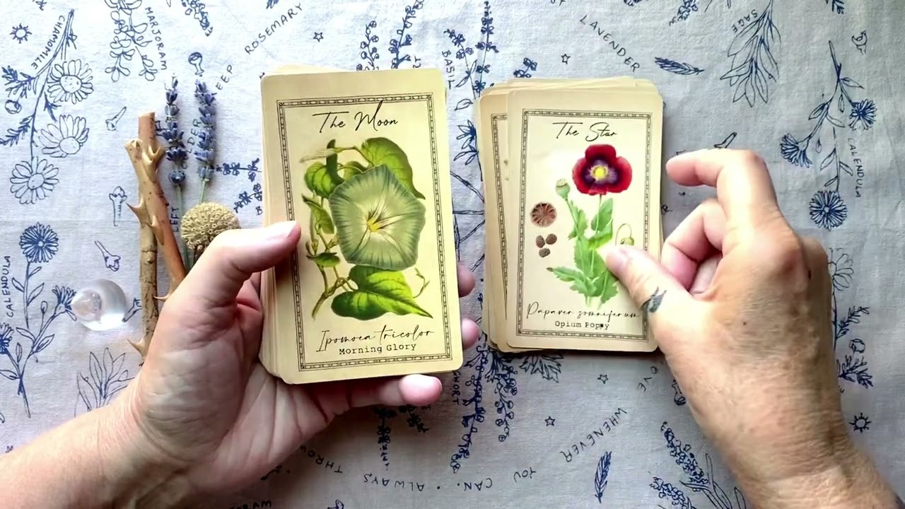 The Alchemists Garden Tarot Deck Walkthrough