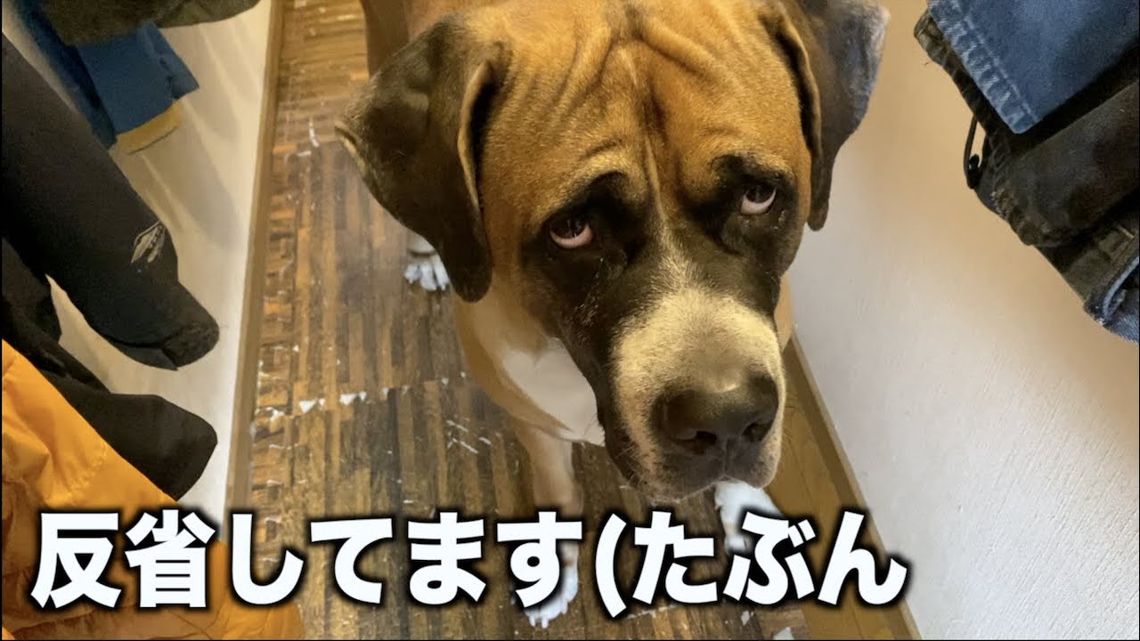 父ちゃんのベッドで❤︎寝てたら怒られた・・