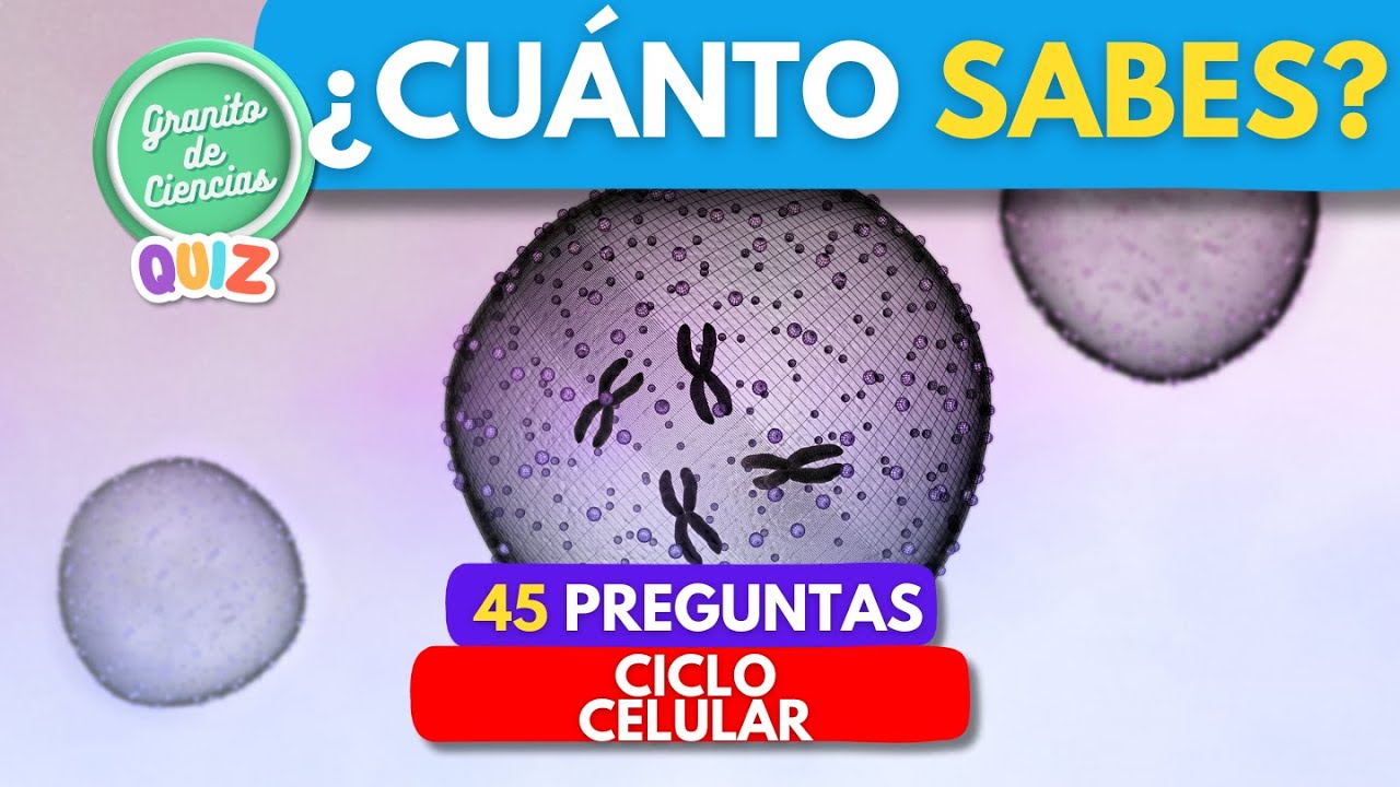¿Cuánto sabes del CICLO CELULAR? INTERFASE, MITOSIS y MEIOSIS