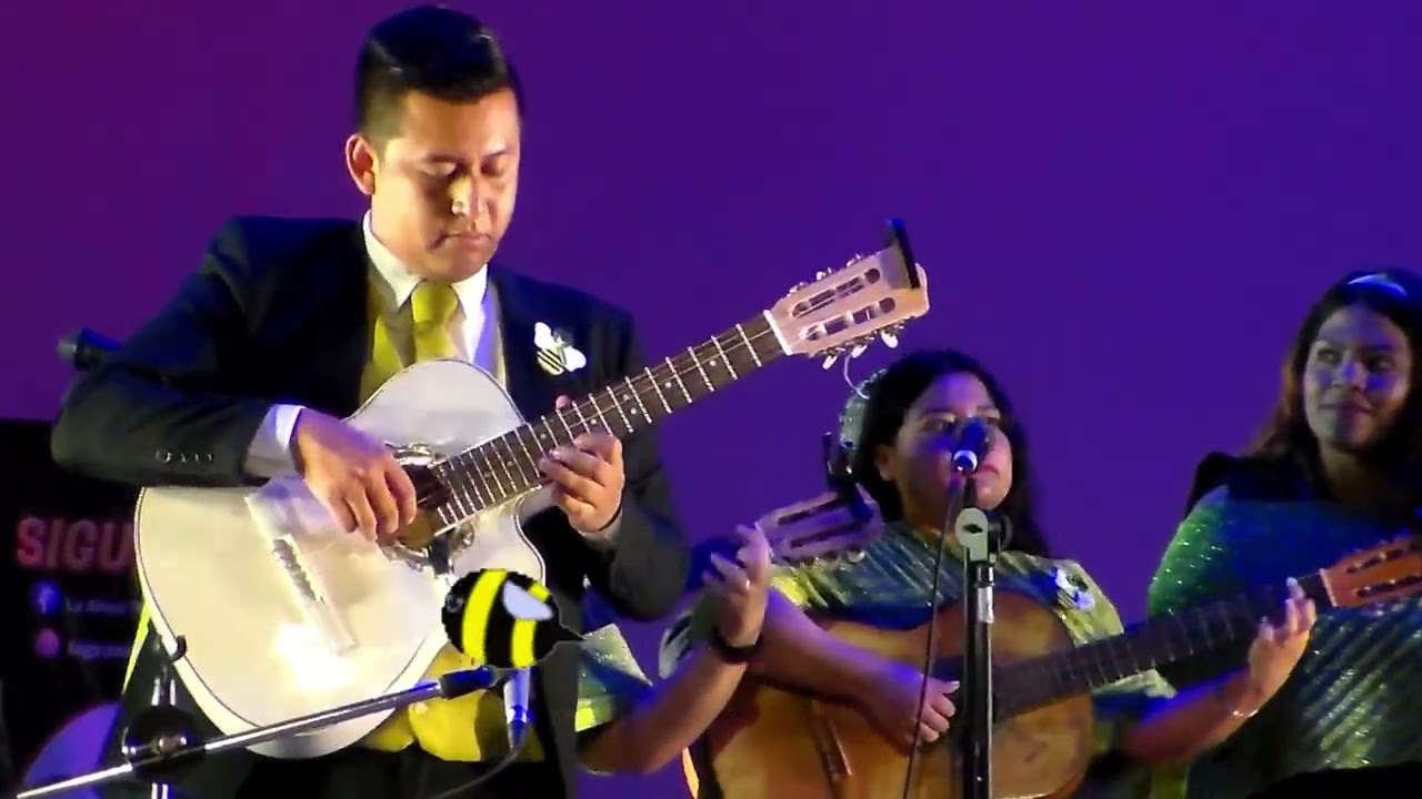 Rondalla Fascinación interpretando El Abejorro Mostachón