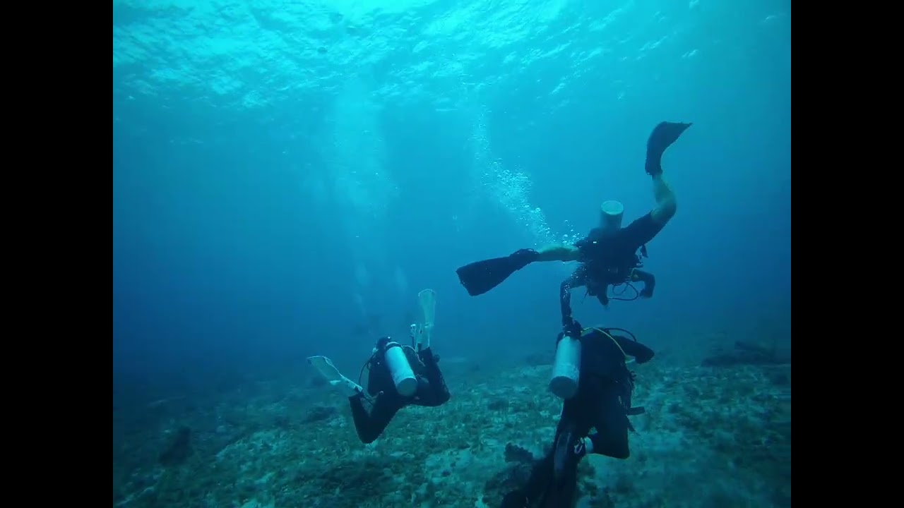 Cozumel diving