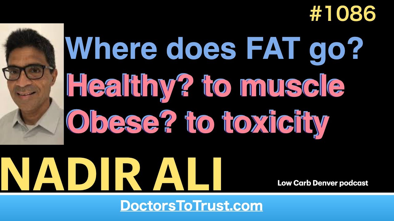 NADIR ALI a&rdquo; | Where does FAT go?  Healthy? to muscle  Obese? to toxicity