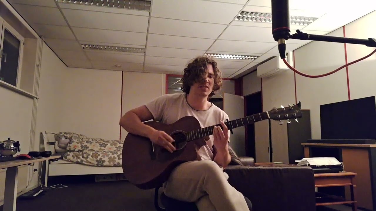 Fontaines D.C. - Starburster [Acoustic Cover]